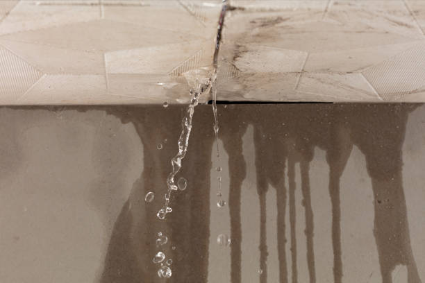 Professional Structural Drying technician working in Encinal, TX